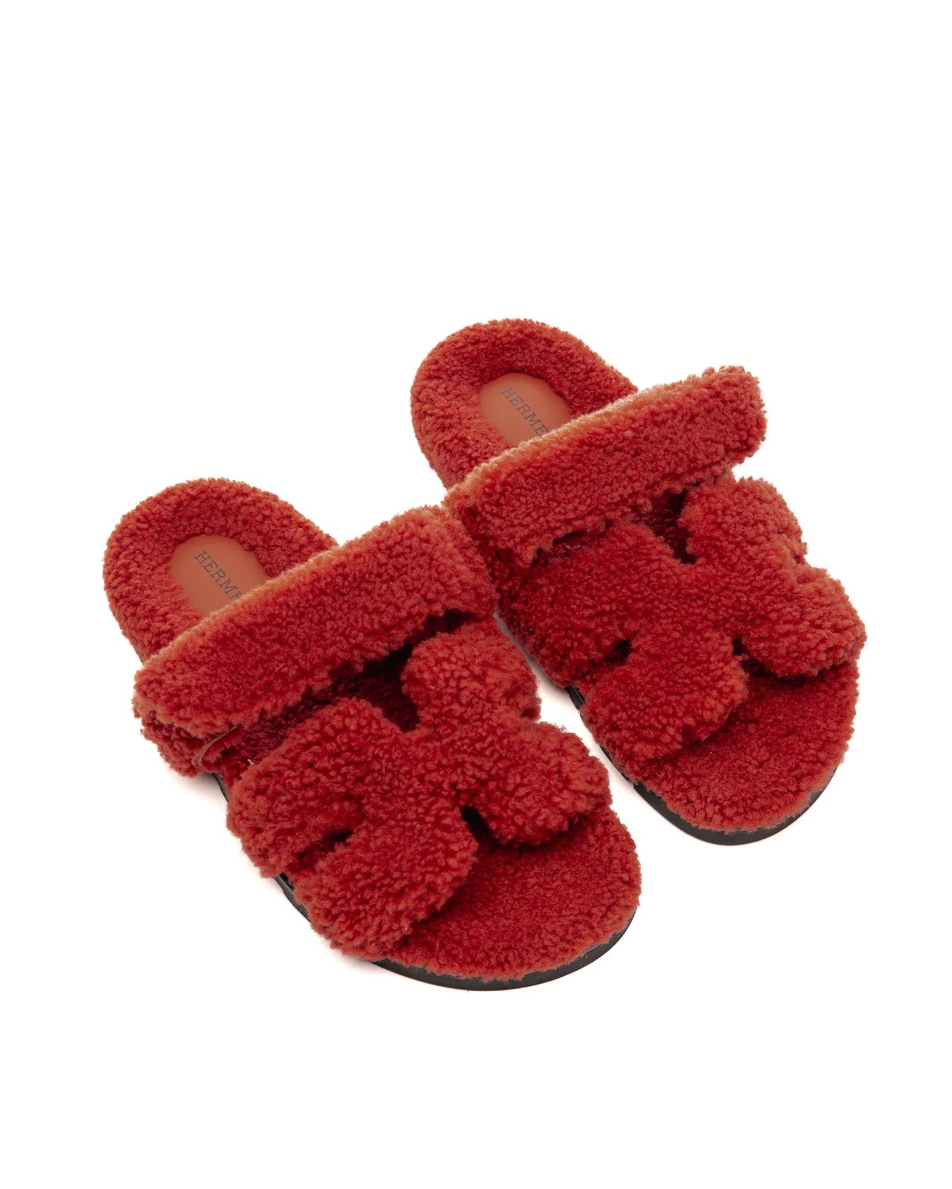 CHYPRE TEDDY BEAR TERLİK
